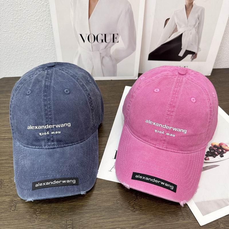 Alexander Wang cap hm (7)
