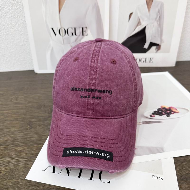 Alexander Wang cap hm (9)