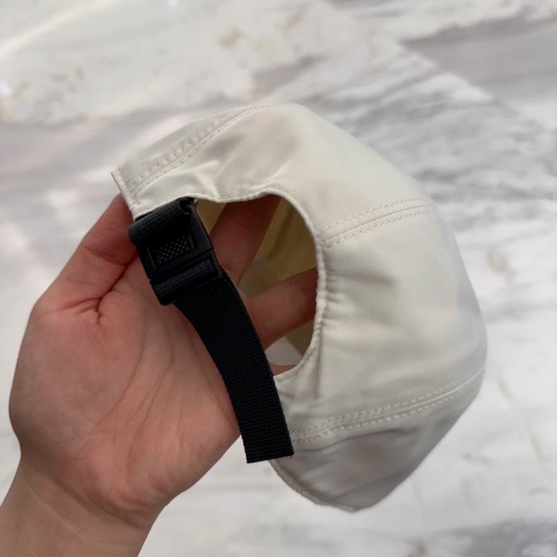 Arcteryx cap dx (108)