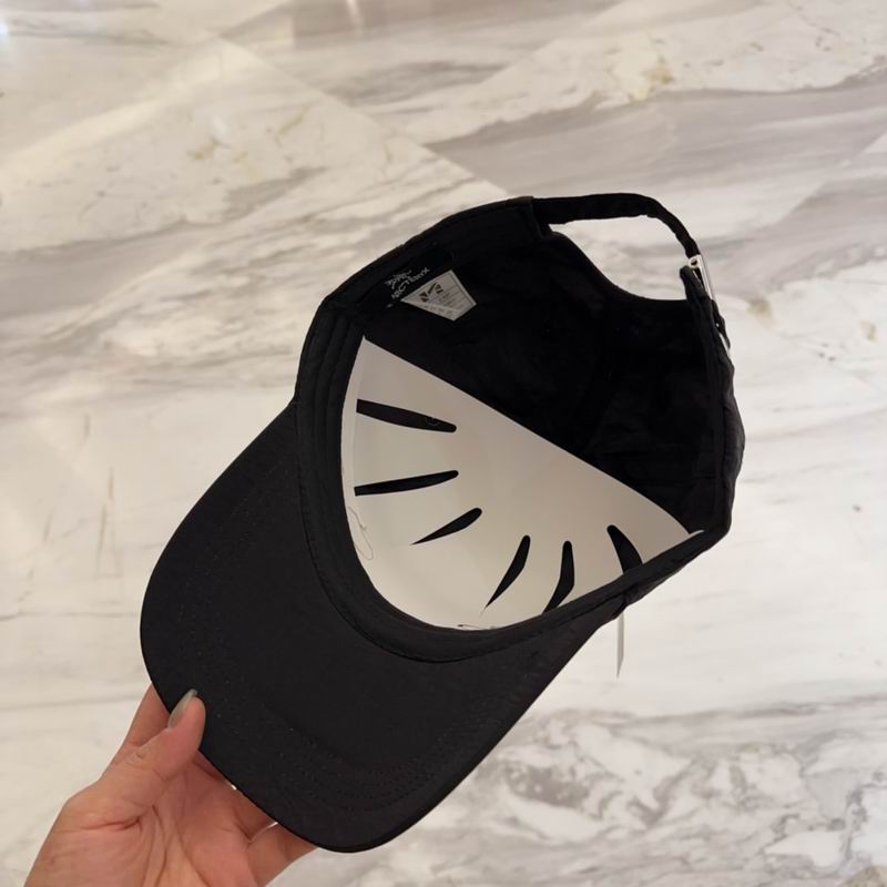 Arcteryx cap dx (116)