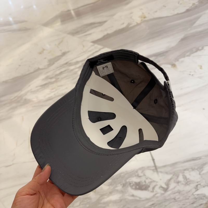 Arcteryx cap dx (125)