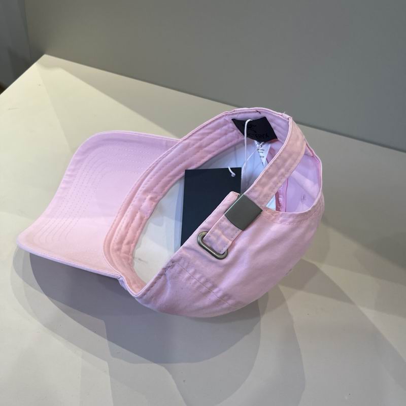 Arcteryx cap dx (13)