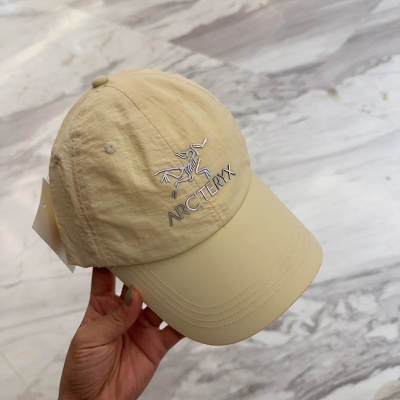 Arcteryx cap dx (137)