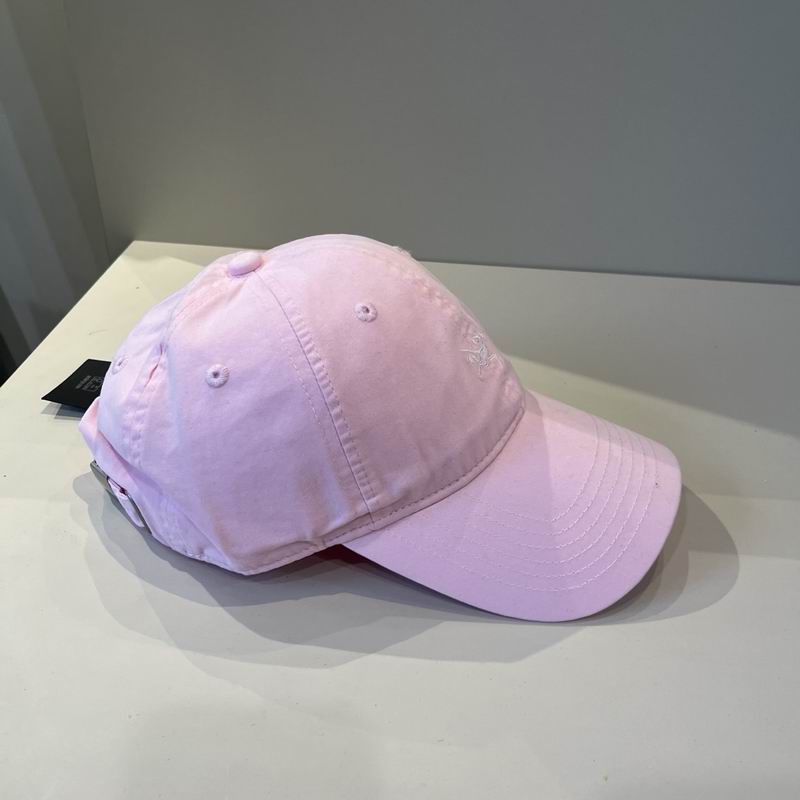 Arcteryx cap dx (14)