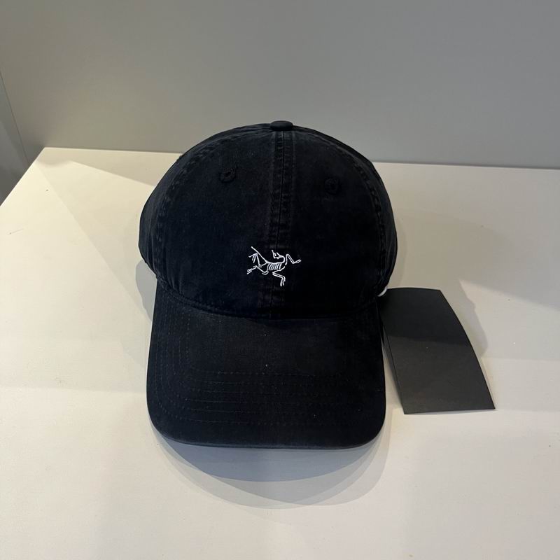 Arcteryx cap dx (27)