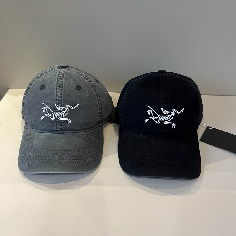 Arcteryx cap dx (28)
