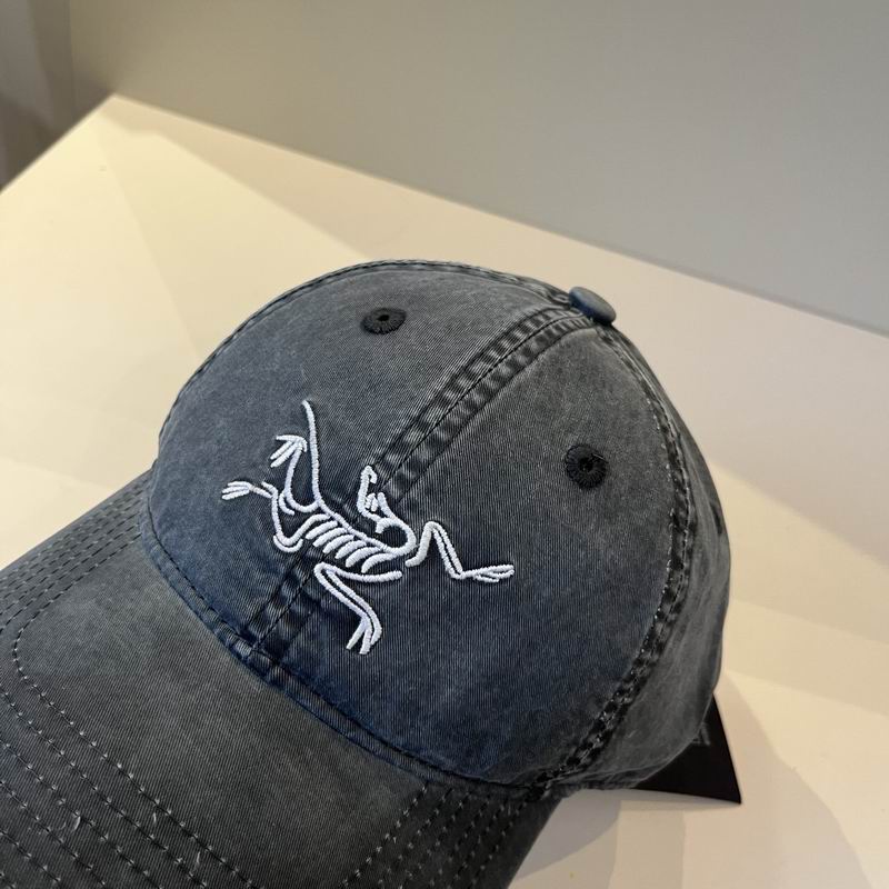 Arcteryx cap dx (33)