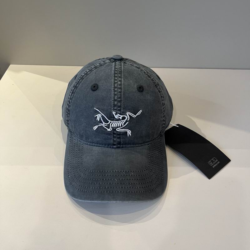 Arcteryx cap dx (36)