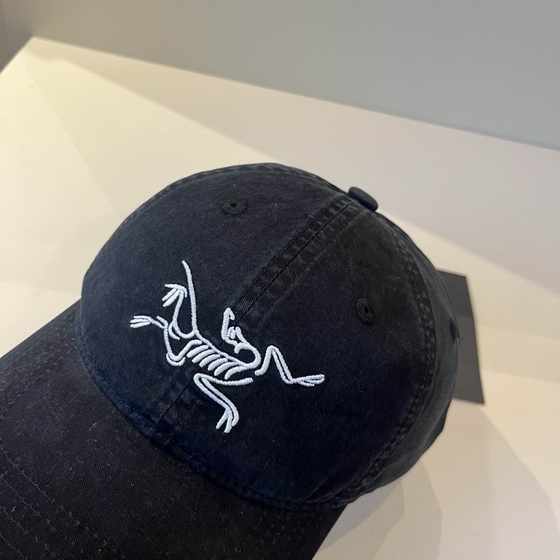 Arcteryx cap dx (42)