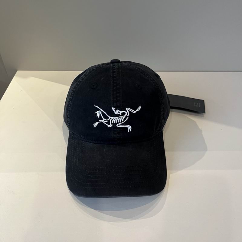Arcteryx cap dx (43)