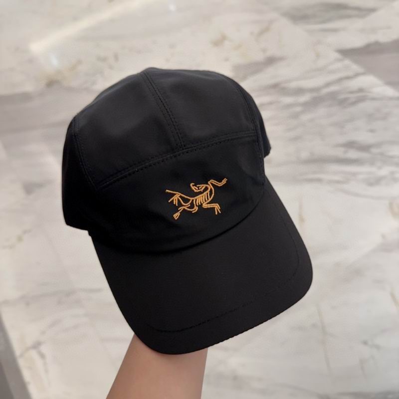 Arcteryx cap dx (49)