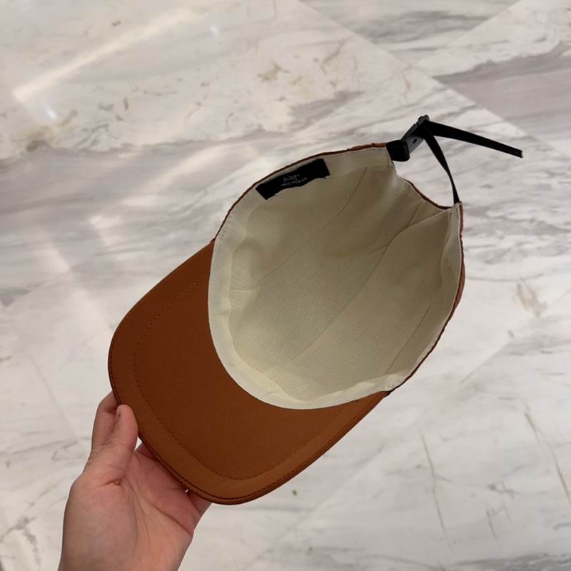 Arcteryx cap dx (64)