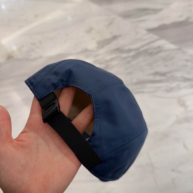 Arcteryx cap dx (73)