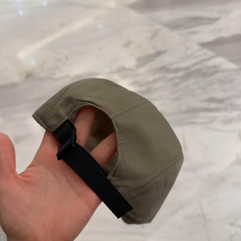 Arcteryx cap dx (81)