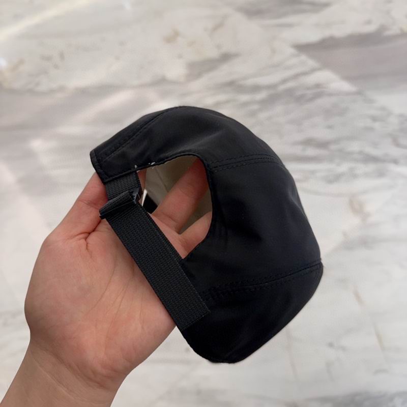 Arcteryx cap dx (90)