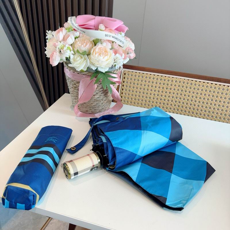 Burberry Umbrella hm (22)