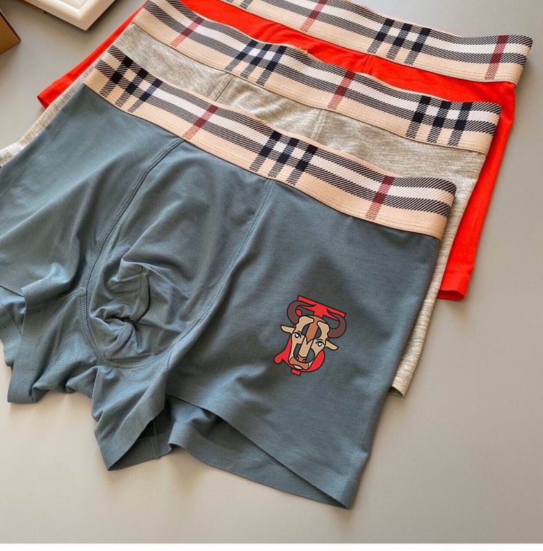 Burberry boxer L-3XL  22 (3)