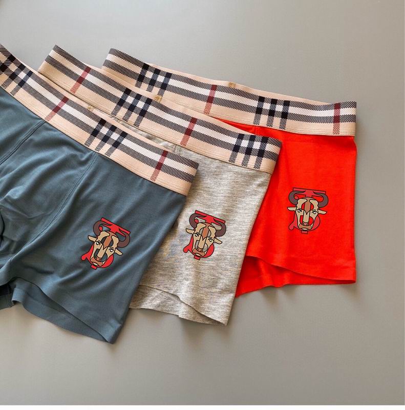 Burberry boxer L-3XL  22 (5)