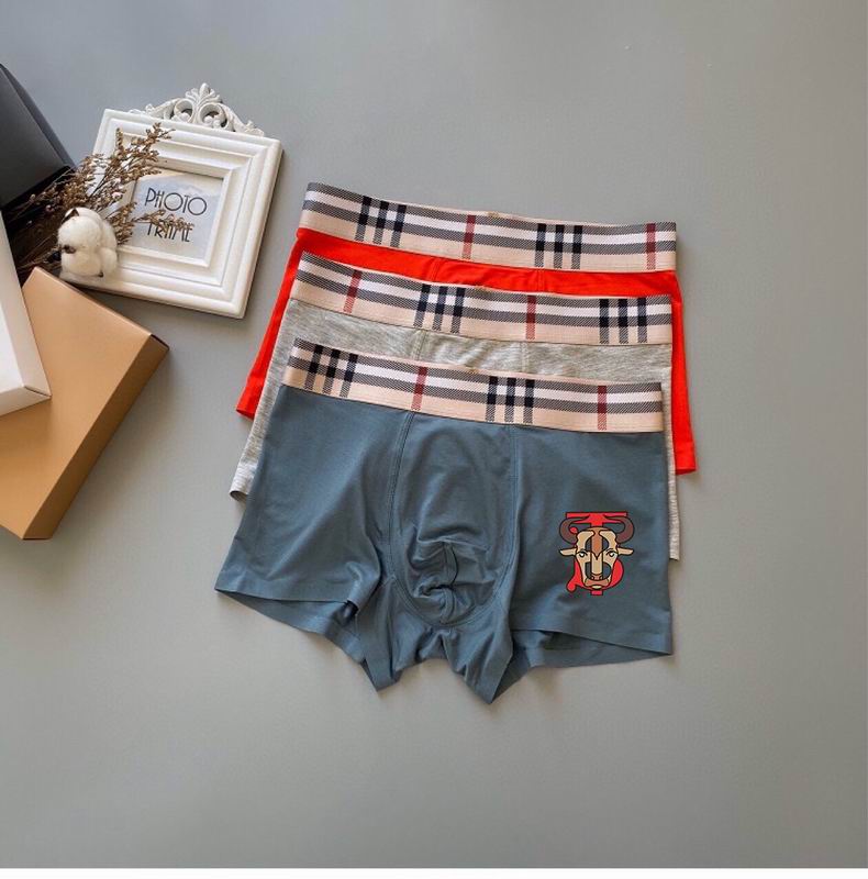 Burberry boxer L-3XL  22 (6)