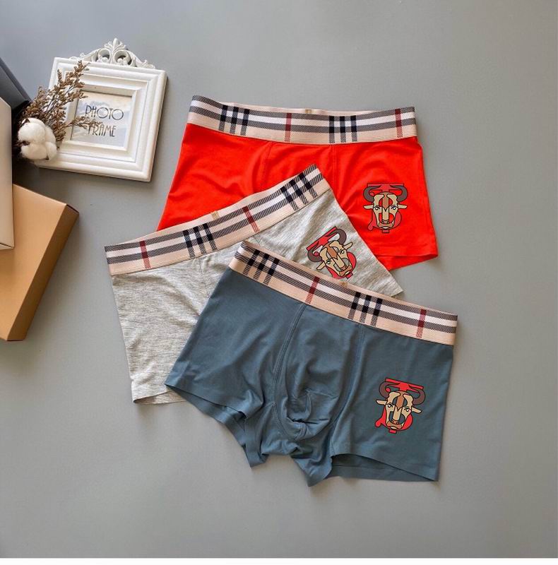 Burberry boxer L-3XL  22 (7)