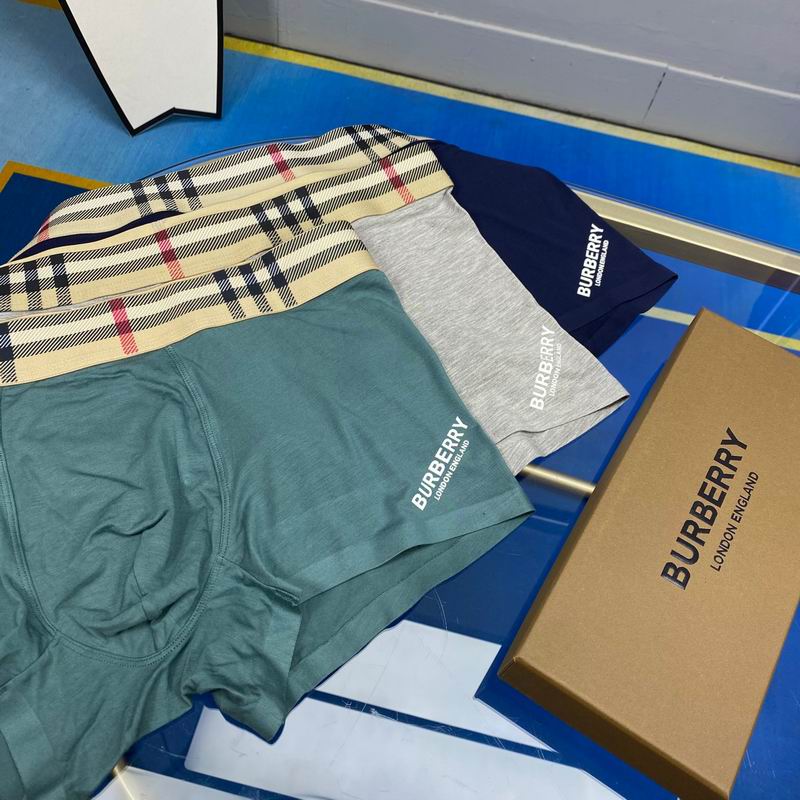 Burberry boxer L-3XL 02 (1)