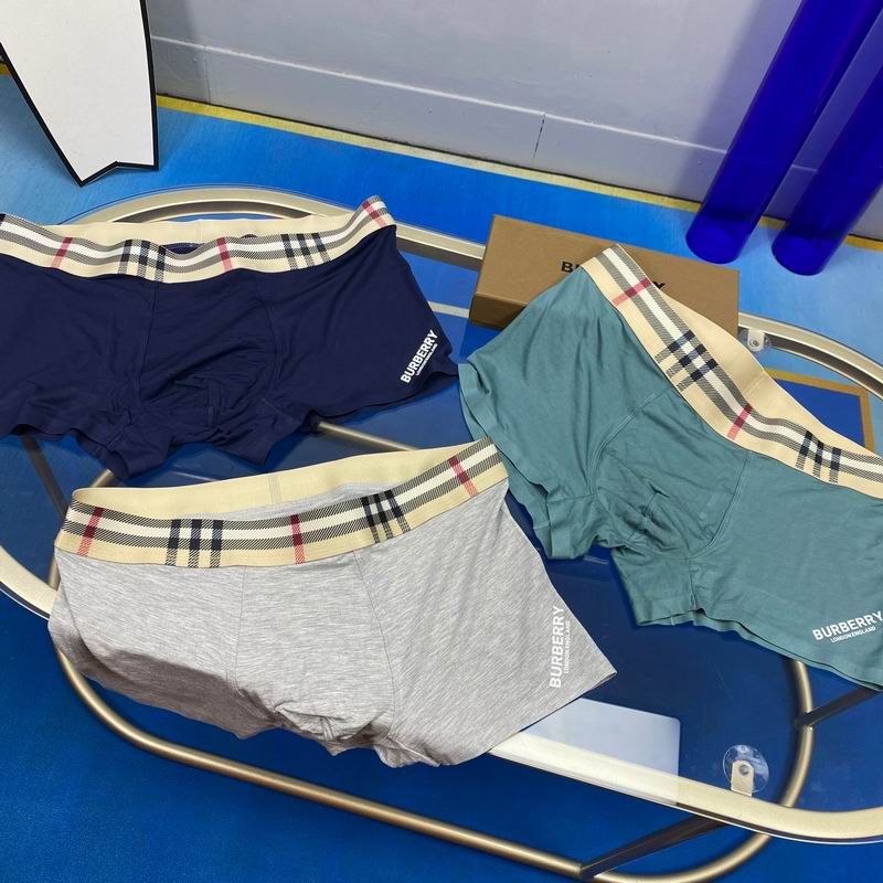 Burberry boxer L-3XL 02 (2)