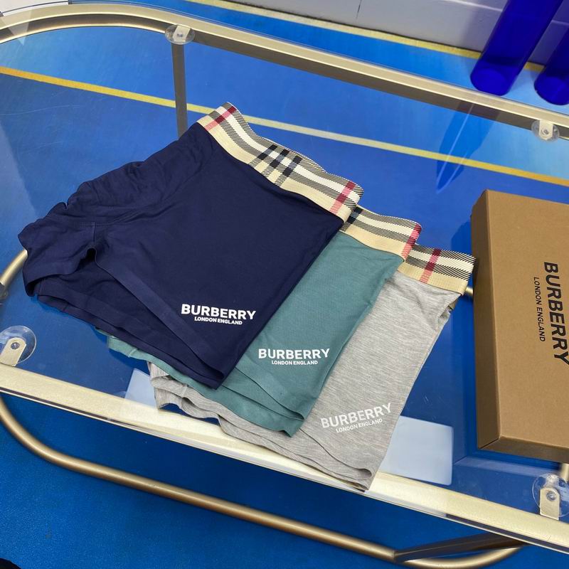 Burberry boxer L-3XL 02 (7)