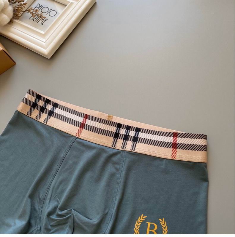 Burberry boxer L-3XL 04 (3)