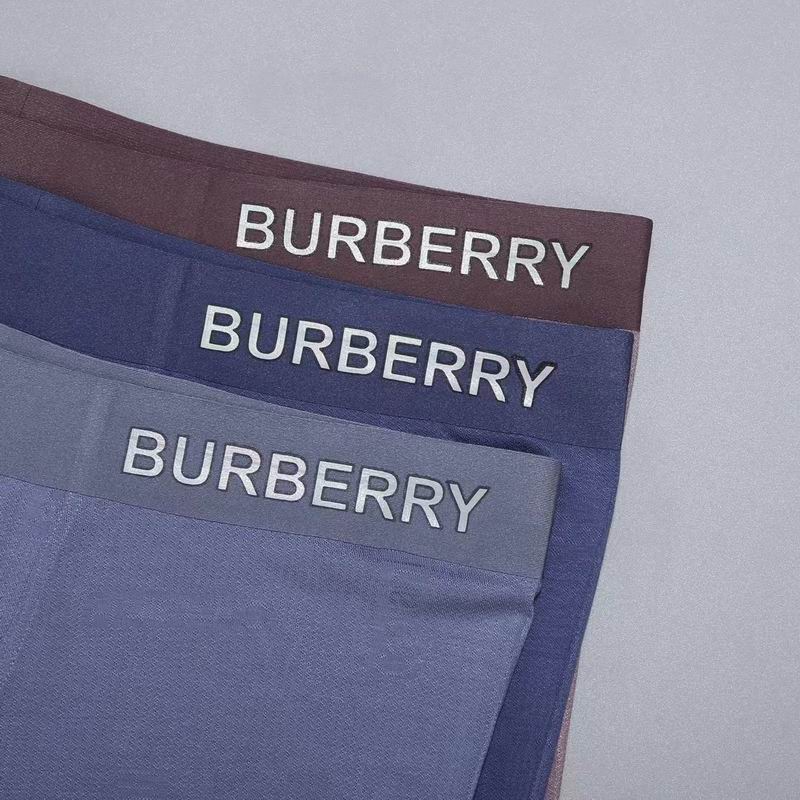 Burberry boxer L-3XL 05 (3)