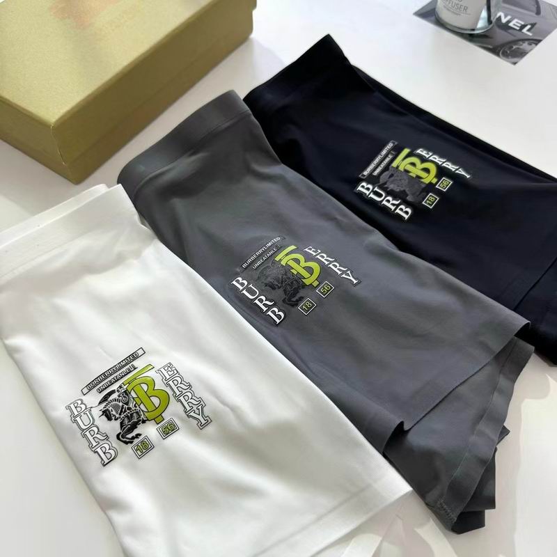 Burberry boxer L-3XL 06 (7)