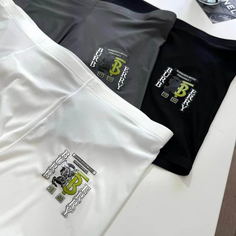 Burberry boxer L-3XL 06 (8)