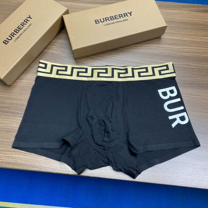 Burberry boxer L-3XL 08 (2)