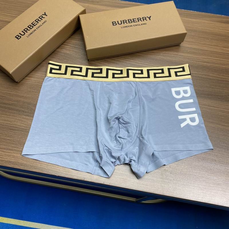 Burberry boxer L-3XL 08 (3)