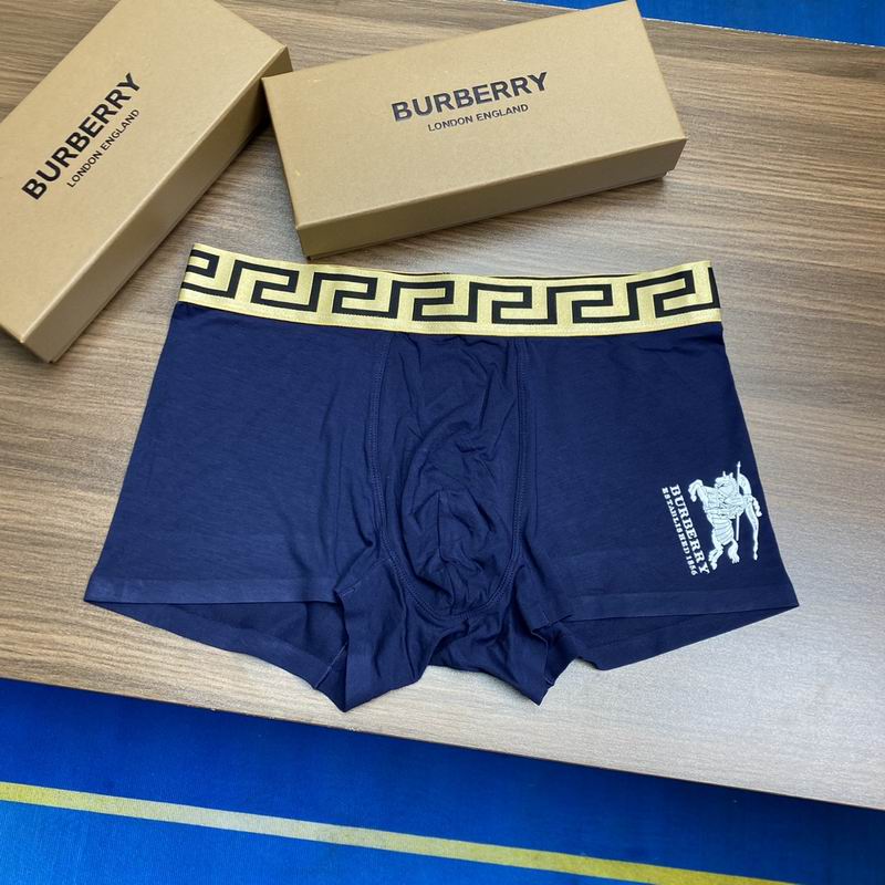 Burberry boxer L-3XL 08 (4)