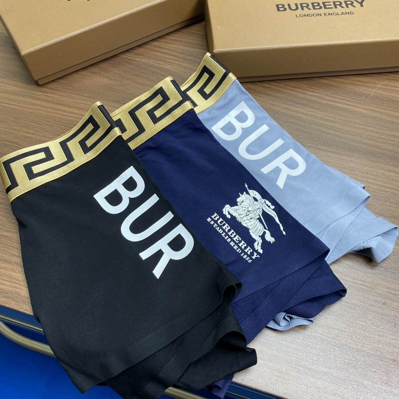 Burberry boxer L-3XL 08 (7)