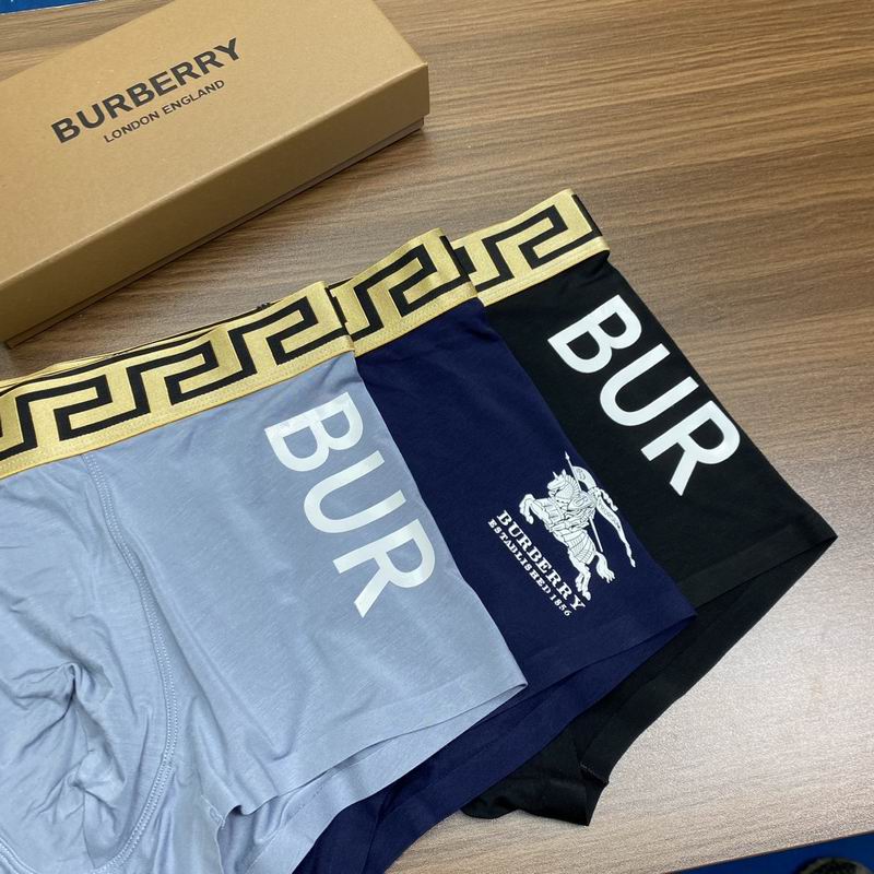 Burberry boxer L-3XL 08 (8)