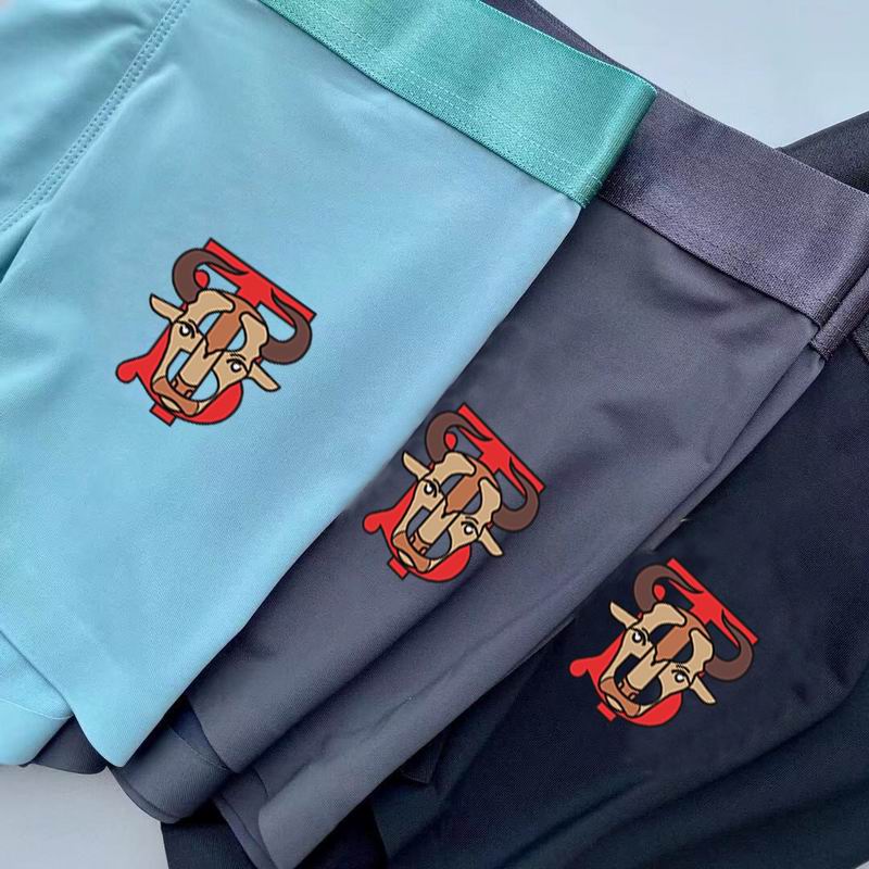 Burberry boxer L-3XL 13 (4)