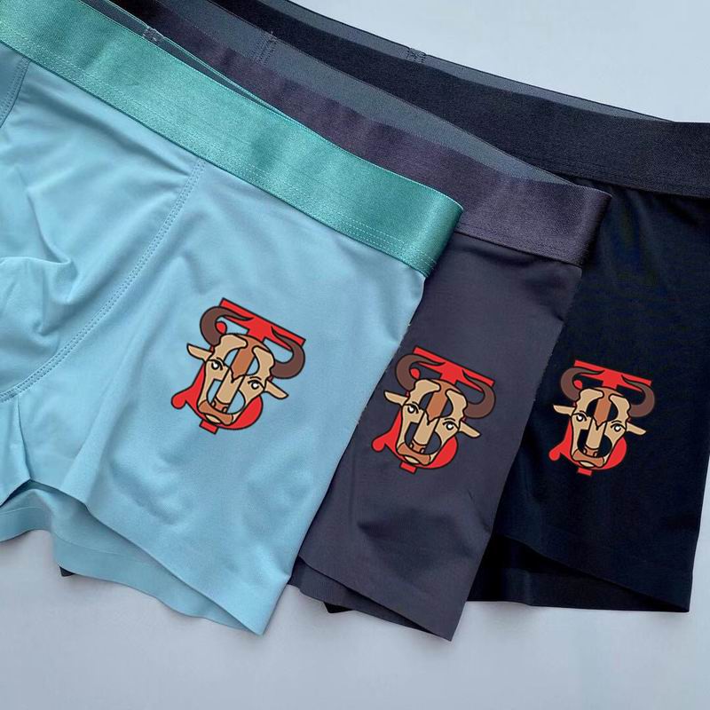 Burberry boxer L-3XL 13 (5)