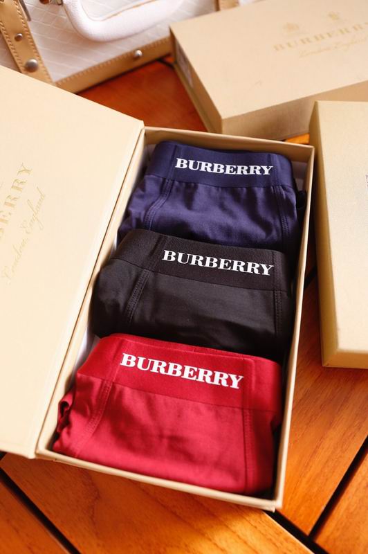Burberry boxer L-3XL 15 (1)