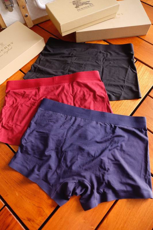 Burberry boxer L-3XL 15 (4)