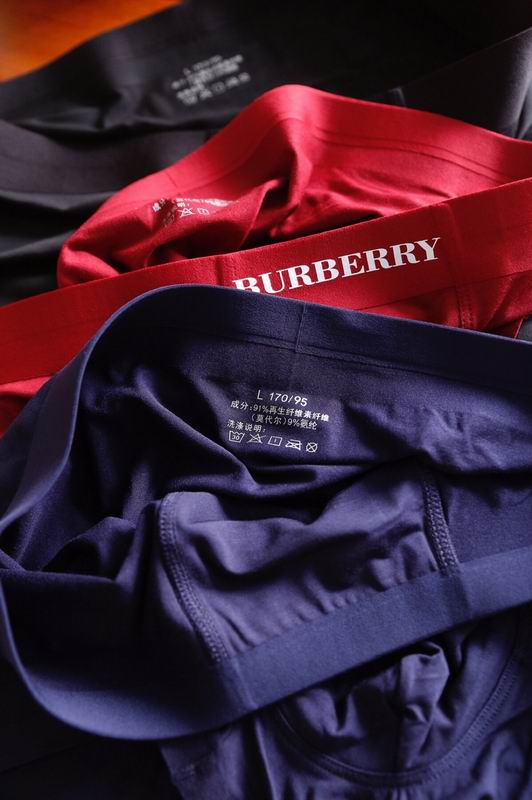 Burberry boxer L-3XL 15 (5)