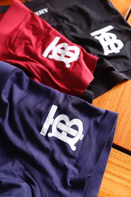 Burberry boxer L-3XL 15 (6)