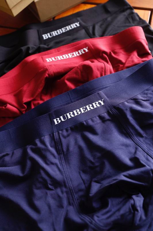 Burberry boxer L-3XL 15 (7)