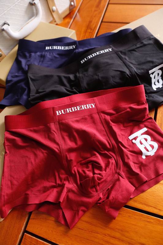 Burberry boxer L-3XL 15 (8)