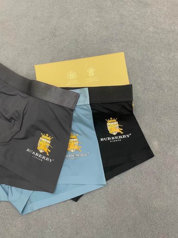 Burberry boxer L-3XL 19 (1)