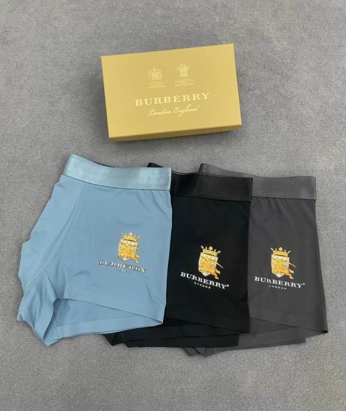 Burberry boxer L-3XL 19 (2)