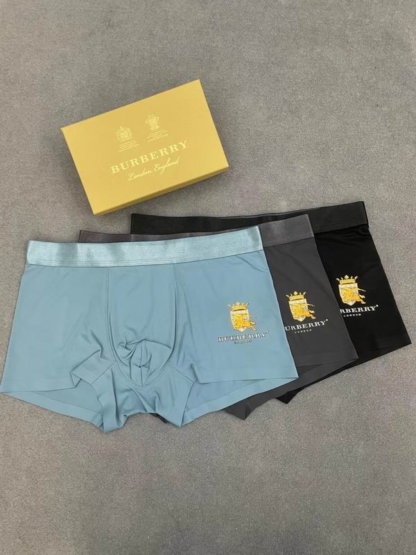 Burberry boxer L-3XL 19 (3)
