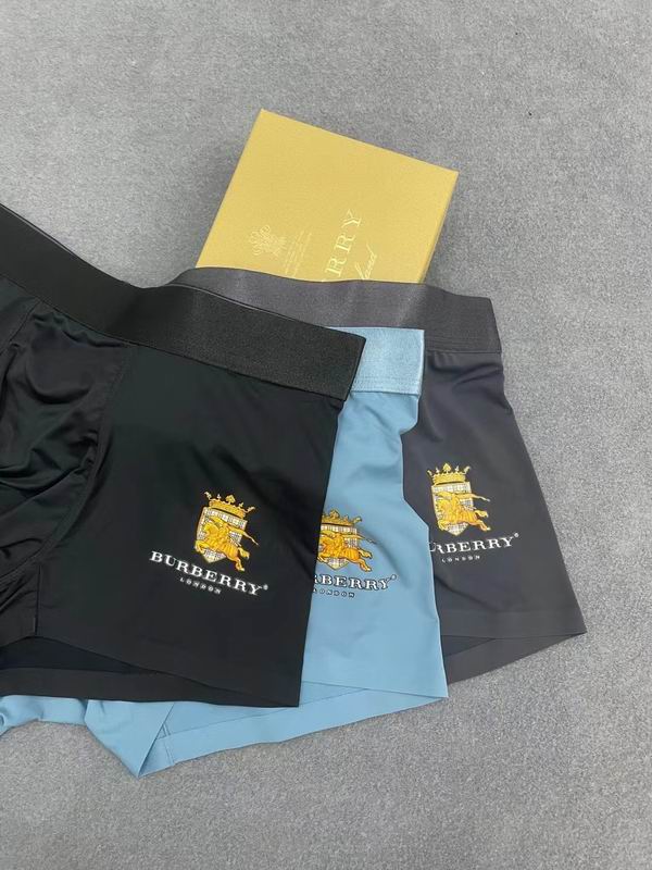 Burberry boxer L-3XL 19 (4)