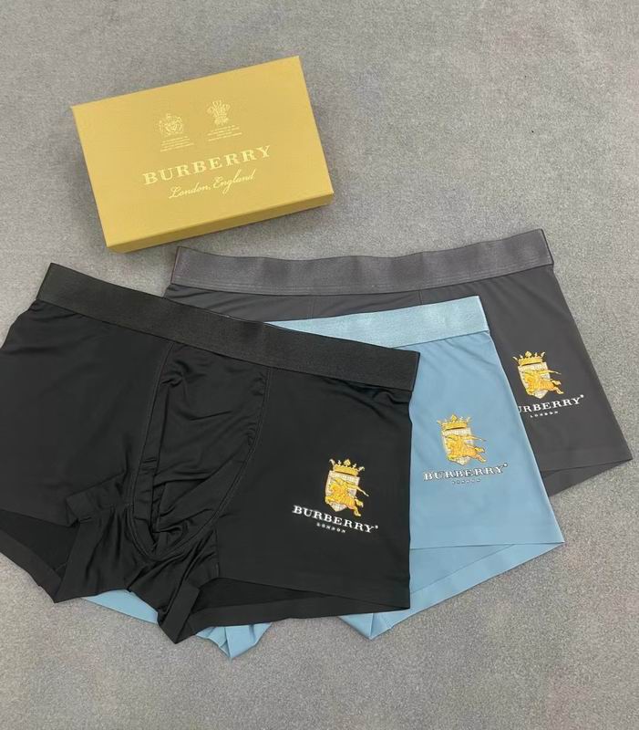 Burberry boxer L-3XL 19 (6)