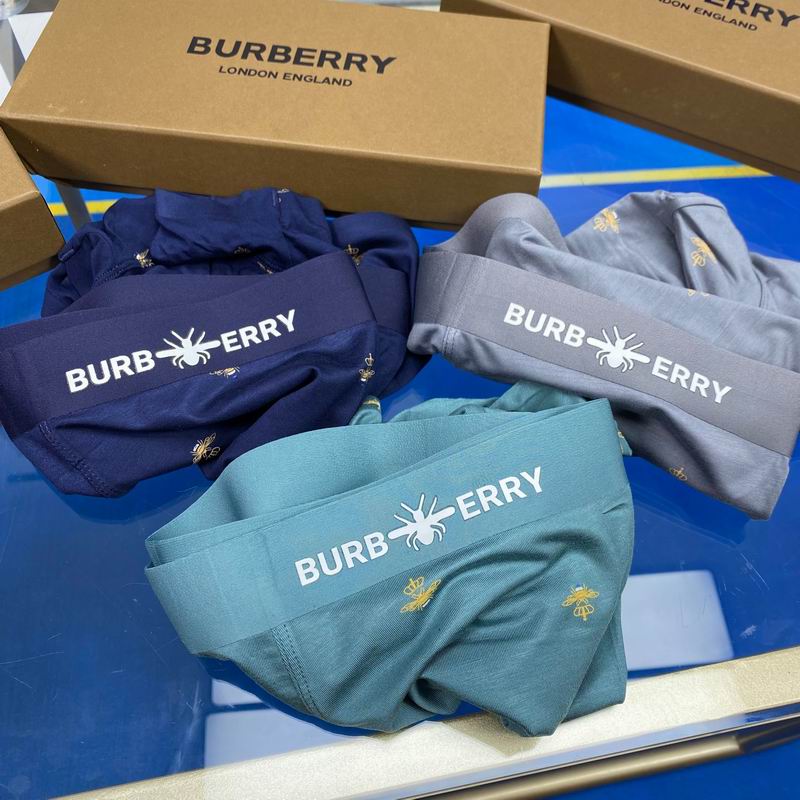 Burberry boxer L-3XL 19 (7)